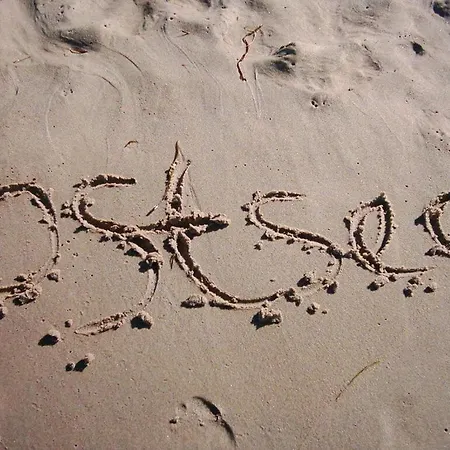 At The Boddenwiesen - Hinnen *